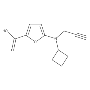 5-[Cyclobutyl(prop-2-yn-1-yl)amino]furan-2-carboxylic acid结构式