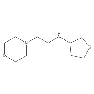 N-[2-(Morpholin-4-YL)ethyl]thiolan-3-amine结构式