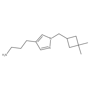 3-{1-[(3,3-dimethylcyclobutyl)methyl]-1H-pyrazol-4-yl}propan-1-amine Structure
