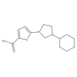 5-[3-(Morpholin-4-yl)pyrrolidin-1-yl]thiophene-2-carboxylic acid结构式