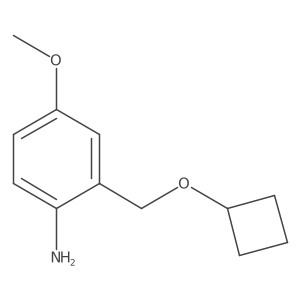 2-(Cyclobutoxymethyl)-4-methoxyaniline Structure