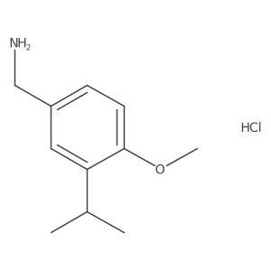 2567504-57-6 structure