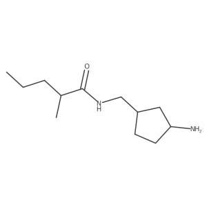 N-[(3-aminocyclopentyl)methyl]-2-methylpentanamide Structure