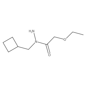 N-(cyclobutylmethyl)-2-ethoxyacetohydrazide Structure