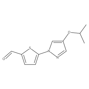 1881545-46-5 structure