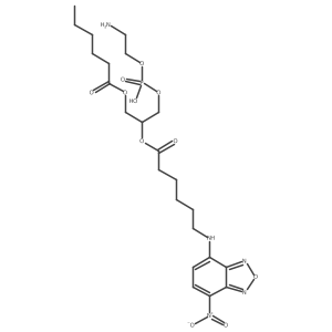 328946-20-9 structure