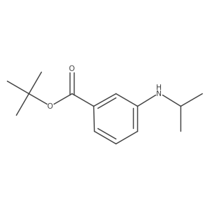Tert-butyl 3-(propan-2-ylamino)benzoate Structure