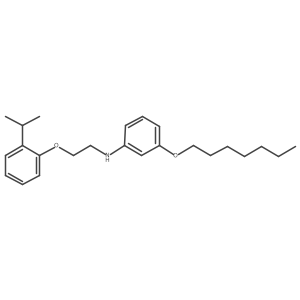 1040679-91-1 structure