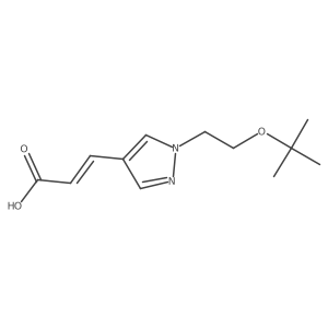 (2E)-3-{1-[2-(tert-butoxy)ethyl]-1H-pyrazol-4-yl}prop-2-enoic acid Structure