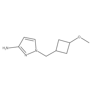 2135937-50-5结构式