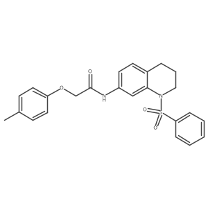 N-[1-(benzenesulfonyl)-1,2,3,4-tetrahydroquinolin-7-yl]-2-(4-methylphenoxy)acetamide结构式
