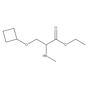 Ethyl O-cyclobutyl-N-methylserinate结构式