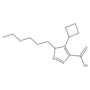 5-cyclobutyl-1-(3-ethoxypropyl)-1H-1,2,3-triazole-4-carboxylic acid Structure