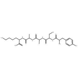 L-Tyrosyl-L-seryl-L-alanyl-L-alanyl-L-lysine Structure