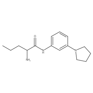 2-amino-N-[3-(pyrrolidin-1-yl)phenyl]pentanamide Structure