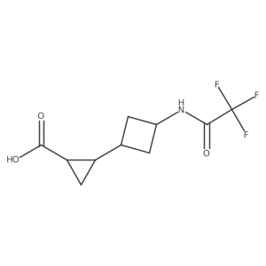 2757895-44-4 structure
