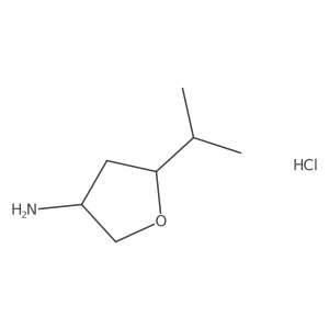 5-(Propan-2-yl)oxolan-3-amine hydrochloride结构式