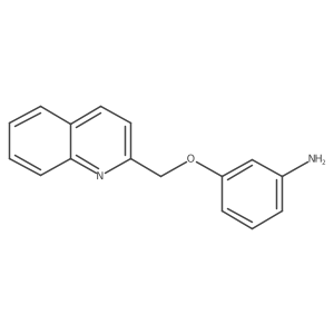 3-(2-Quinolinylmethyloxy)aniline Structure