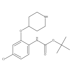 tert-butyl N-[4-chloro-2-(piperidin-4-yloxy)phenyl]carbamate结构式