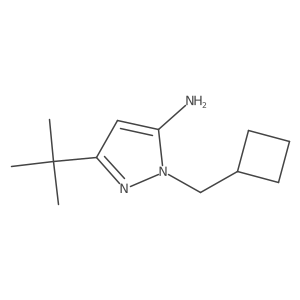 5-Tert-butyl-2-(cyclobutylmethyl)pyrazol-3-amine Structure