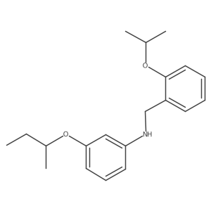 3-(Sec-butoxy)-N-(2-isopropoxybenzyl)aniline结构式