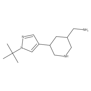 [5-(1-tert-butyl-1H-pyrazol-4-yl)piperidin-3-yl]methanamine Structure