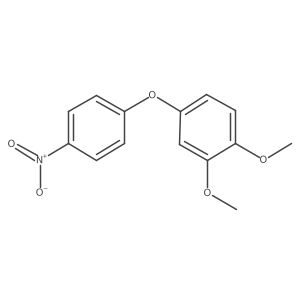 4-(3,4-Dimethoxyphenoxy)-1-nitrobenzene Structure