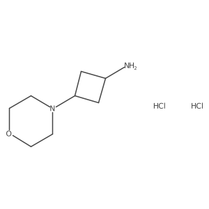 3-(Morpholin-4-yl)cyclobutan-1-amine dihydrochloride Structure