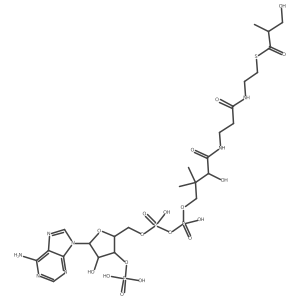 (S)-3-Hydroxyisobutyryl-CoA结构式