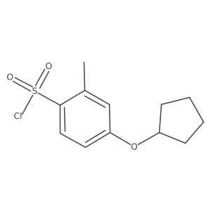 4-(Cyclopentyloxy)-2-methylbenzene-1-sulfonyl chloride结构式
