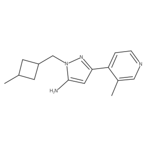 1-[(3-methylcyclobutyl)methyl]-3-(3-methylpyridin-4-yl)-1H-pyrazol-5-amine Structure