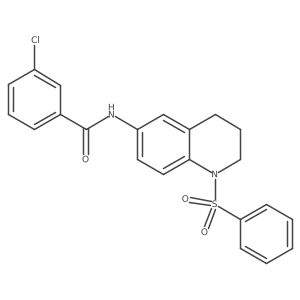 3-chloro-N-(1-(phenylsulfonyl)-1,2,3,4-tetrahydroquinolin-6-yl)benzamide Structure