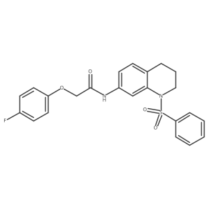 N-[1-(benzenesulfonyl)-1,2,3,4-tetrahydroquinolin-7-yl]-2-(4-fluorophenoxy)acetamide结构式