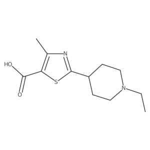 1955507-45-5 structure