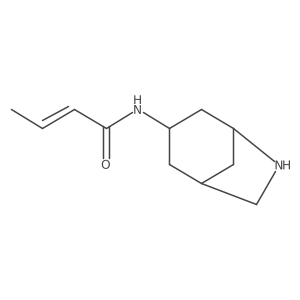 N-{6-azabicyclo[3.2.1]octan-3-yl}but-2-enamide Structure