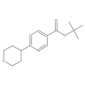 tert-Butyl 6-morpholinonicotinate Structure