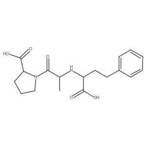 CC(NC(CCc1ccccc1)C(=O)O)C(=O)N1CCCC1C(=O)O结构式
