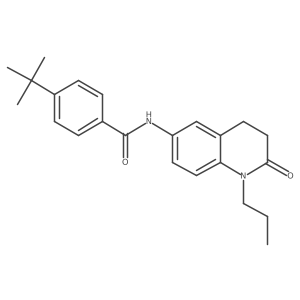 4-(tert-butyl)-N-(2-oxo-1-propyl-1,2,3,4-tetrahydroquinolin-6-yl)benzamide结构式