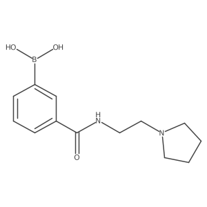 [3-(2-Pyrrolidin-1-ylethylcarbamoyl)phenyl]boronic acid Structure