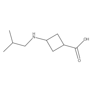 3-[(2-Methylpropyl)amino]cyclobutane-1-carboxylic acid Structure