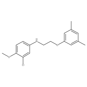 3-Chloro-N-[2-(3,5-dimethylphenoxy)ethyl]-4-methoxyaniline结构式