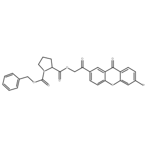 1309561-16-7 structure