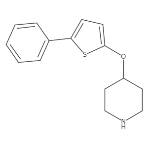 4-[(5-Phenylthiophen-2-yl)oxy]piperidine结构式