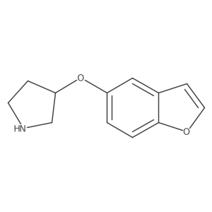 3-(1-Benzofuran-5-yloxy)pyrrolidine Structure