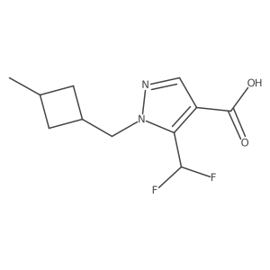 5-(difluoromethyl)-1-[(3-methylcyclobutyl)methyl]-1H-pyrazole-4-carboxylic acid结构式