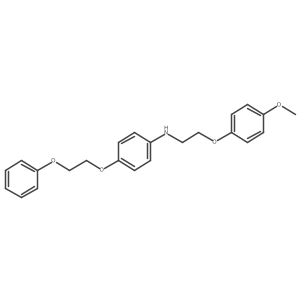 1040691-29-9 structure