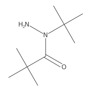 N-tert-butyl-2,2-dimethylpropanehydrazide Structure