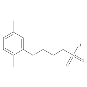 3-(2,5-Dimethylphenoxy)propane-1-sulfonyl chloride Structure