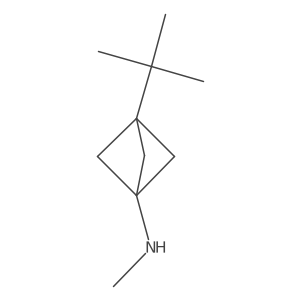 3-tert-butyl-N-methylbicyclo[1.1.1]pentan-1-amine Structure