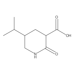 2-Oxo-5-(propan-2-yl)piperidine-3-carboxylic acid结构式